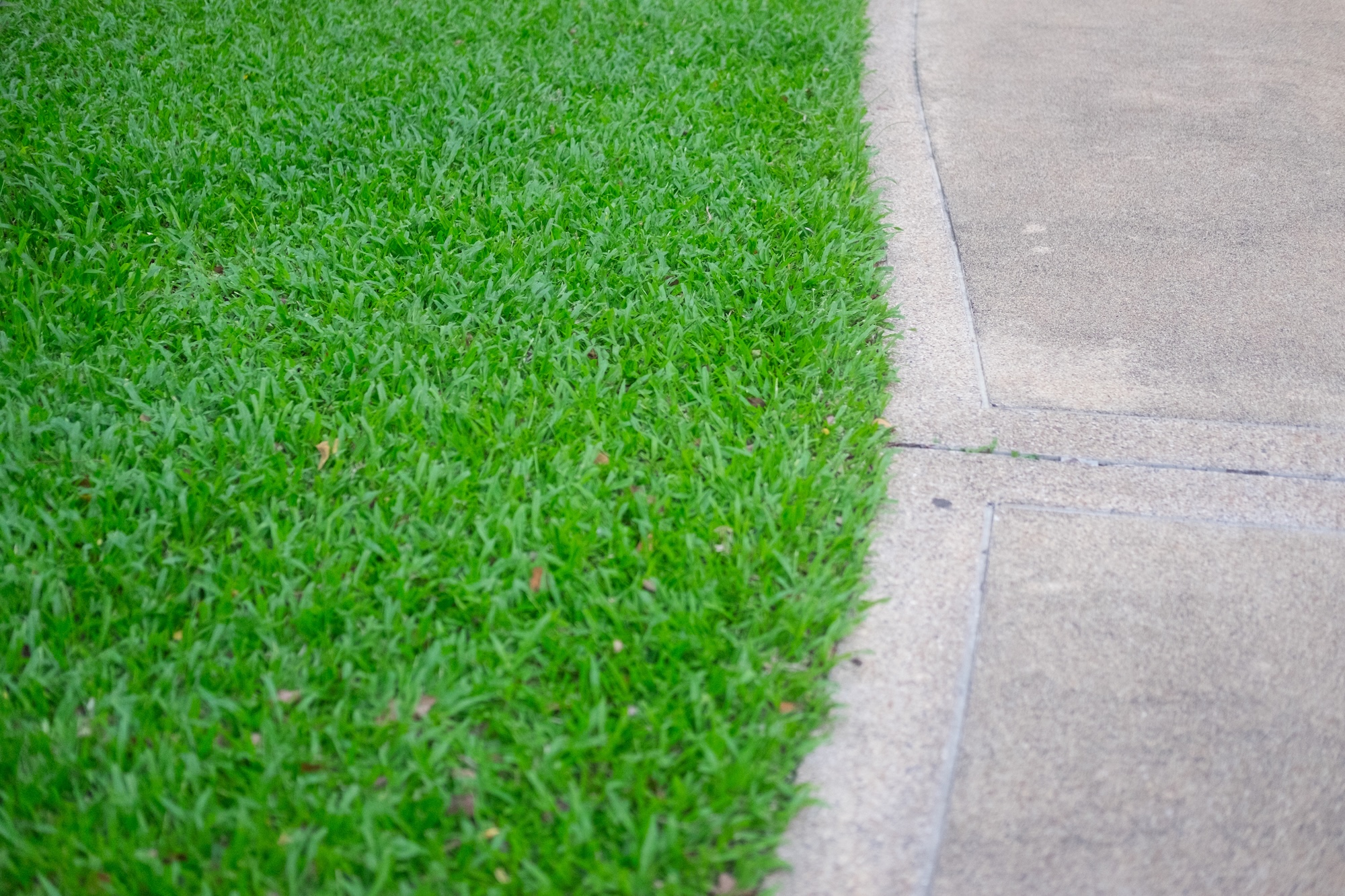 Gräskant mot stenplattor