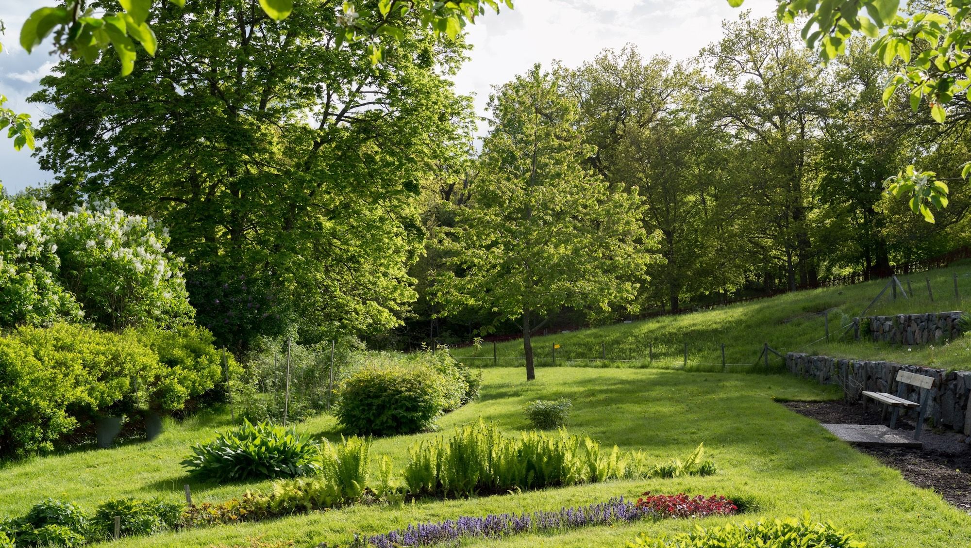 Trädgårdsanläggning